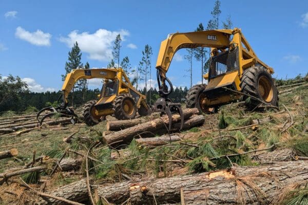 Mennonieten en ontbossing in Latijns-Amerika (deel 1)
